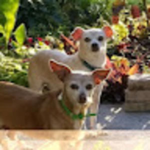 Meet your Posher, Tracey